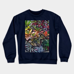 Croton in Greenhouse Crewneck Sweatshirt